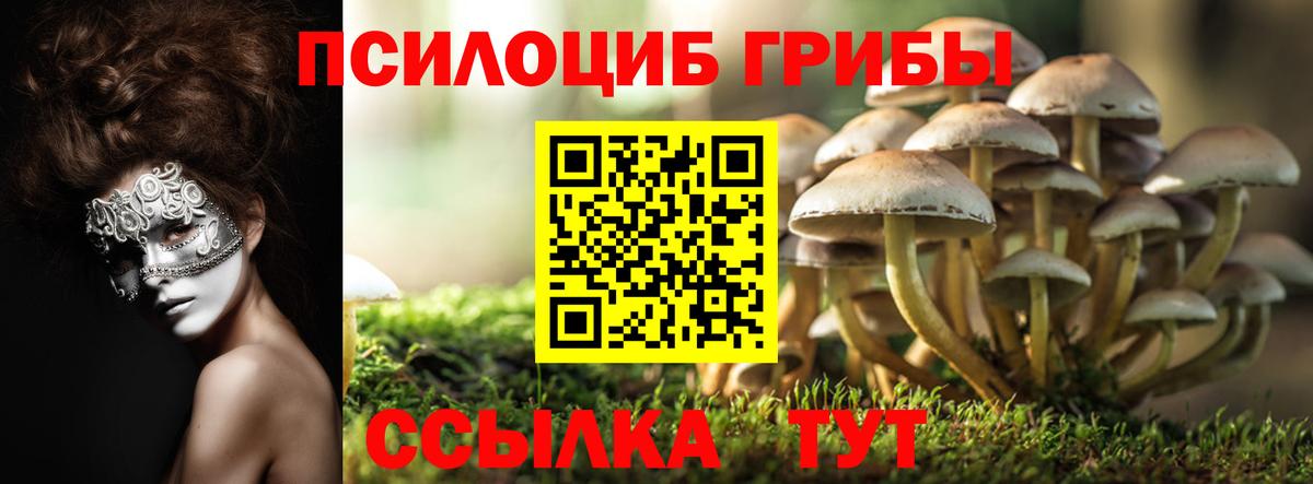 Псилоцибиновые грибы мицелий Асбест